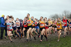 Senior girls 2019 New Balance English Schools Cross Country Champs, Temple Newsam, Leeds. Photo:  David T. Hewitson/Sports for All Pics